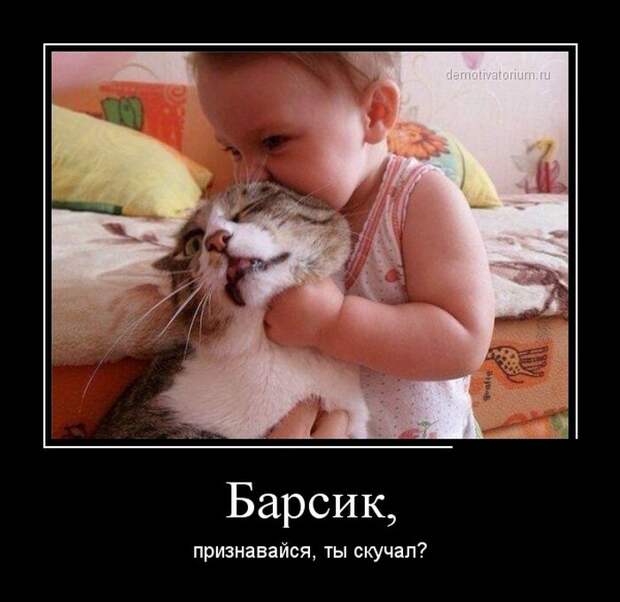 Демотиваторы демотиваторы
