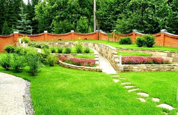 Создаем газон на даче своими руками