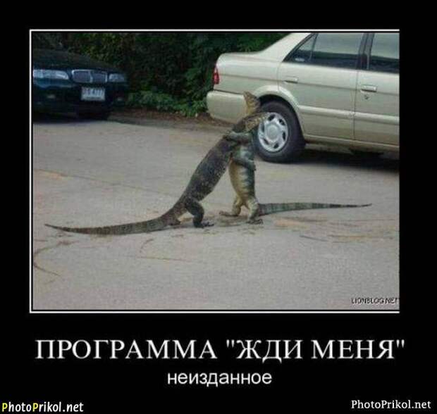 Демотиваторы смешные 8