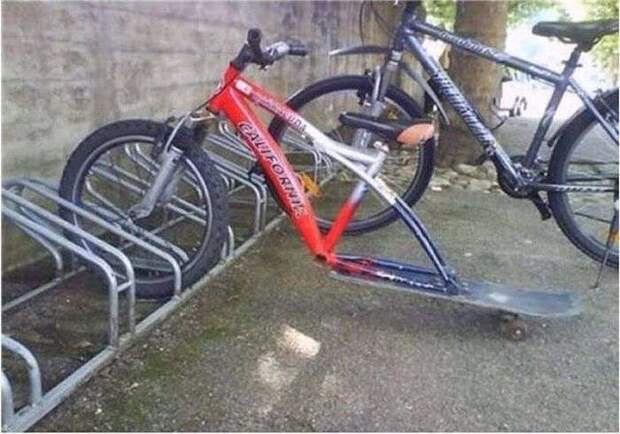 Юмор в фотографиях Юмор в фотографиях
