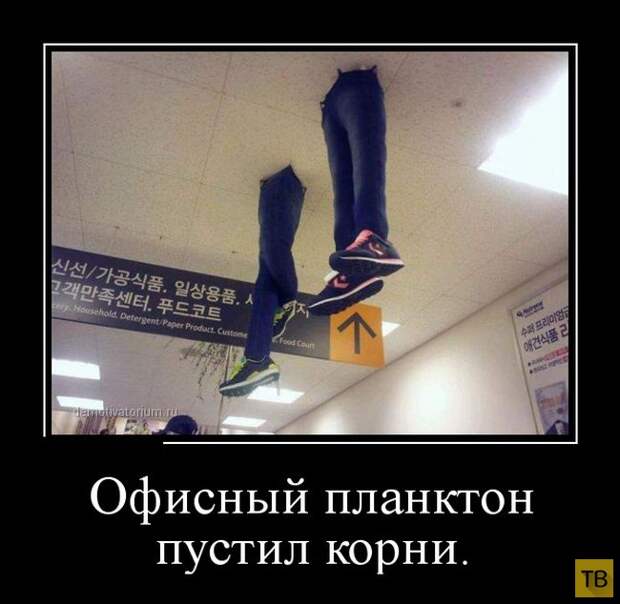 Демотиваторы от 27.02.2015 (32 фото)