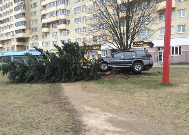 Самые курьезные аварии