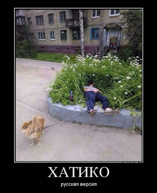 Демотиватор 15 демотиватор, юмор