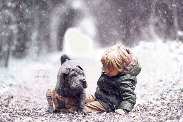 Вот и зима дружба, ребенок, собака