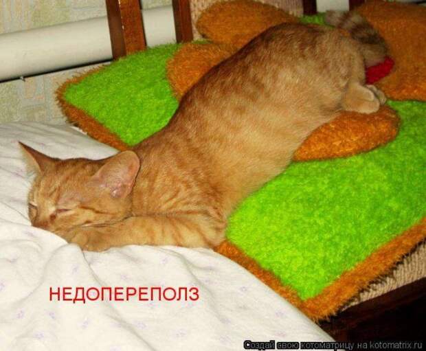 Мысли вслух :)