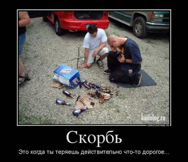 Демотиваторы про пиво (60 штук)