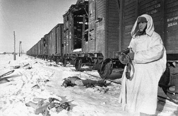 Редкие фотографии Великой Отечественной войны (49 фото)