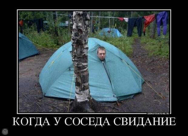 Доминируй, властвуй, урожай! 16