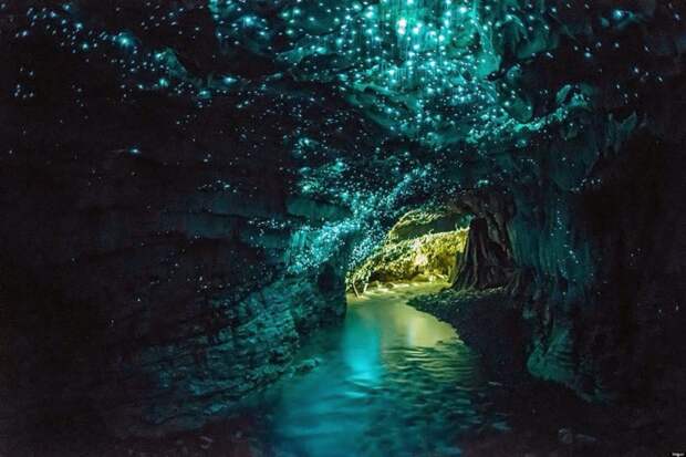 Светлячки в пещере в Новой Зеландии. земля, красота, пейзаж, планета