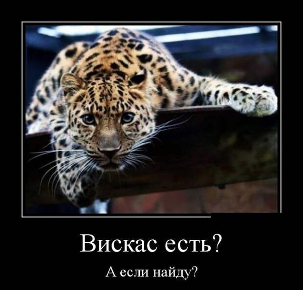 Демотиваторы  демотиваторы, прикол, смех, юмор