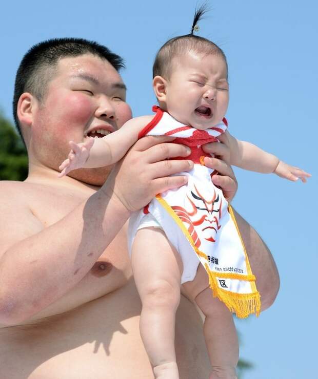 3. Соревнования, в которых борцы сумо доводят детей до слез страна, сумасшествие, япония