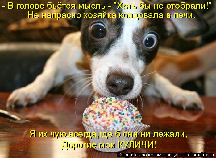 Фото: Альбом "смешные фото": Альбомы - diets.ru