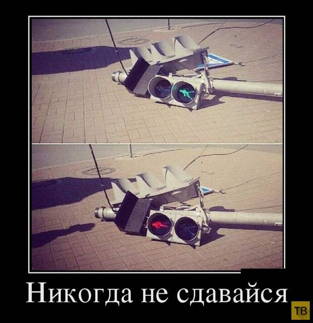 Демотиваторы (30 фото) Демотиваторы (30 фото)