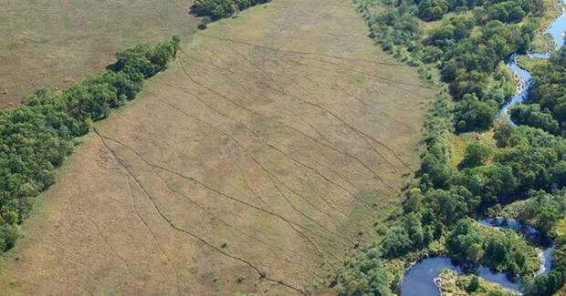 Медвежьи тропы