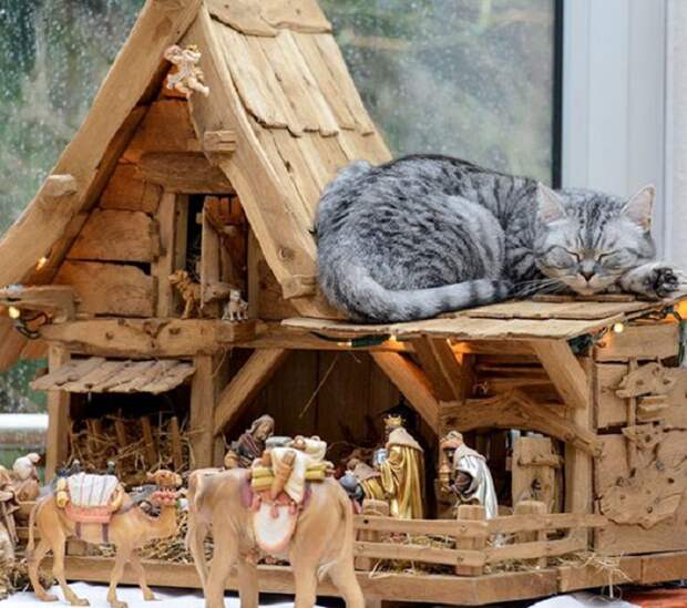 Кот не только прикоснулся к преданиям, но решил почувствовать себя их частью, вздремнув на крыше уютного домика.