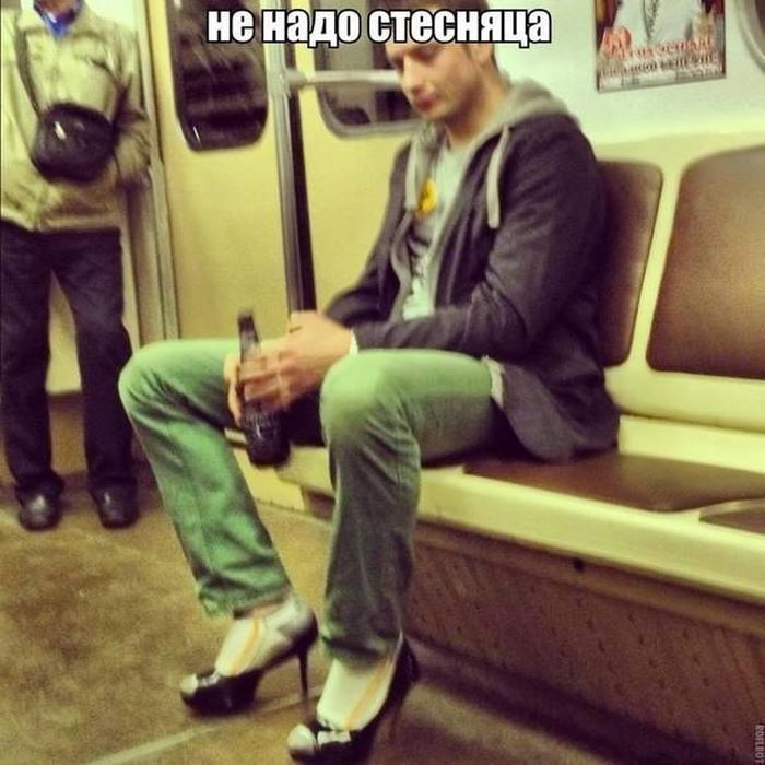 Смешные картинки с подписями катинки, прикол, юмор