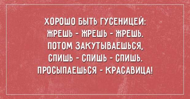 26 саркастичных открыток о жизни открытки, юмор