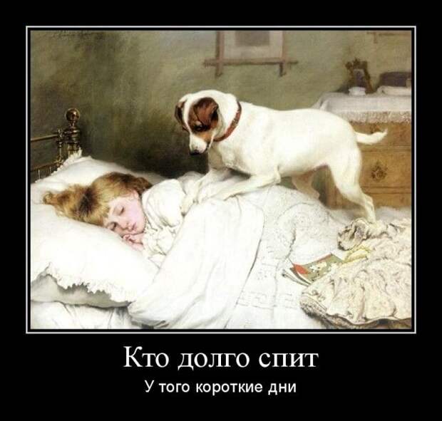 Демотиваторы (30 фото)