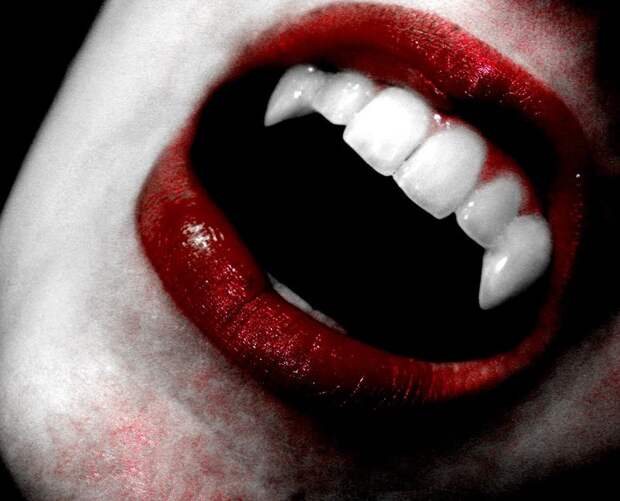 bizzarefood03 10 необычных  продуктов питания