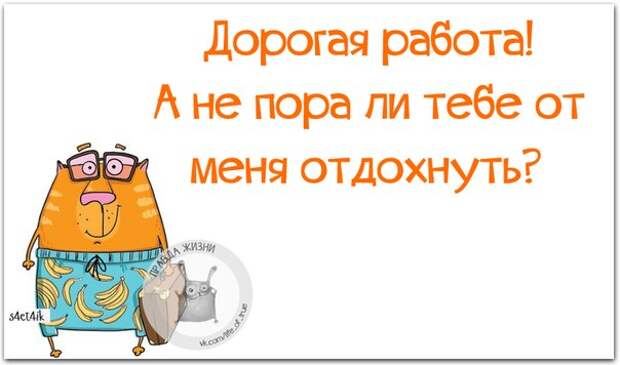 Молодожёны! Прежде чем бежать в ЗАГС, поклейте вместе обои (картинки с позитивными фразочками)