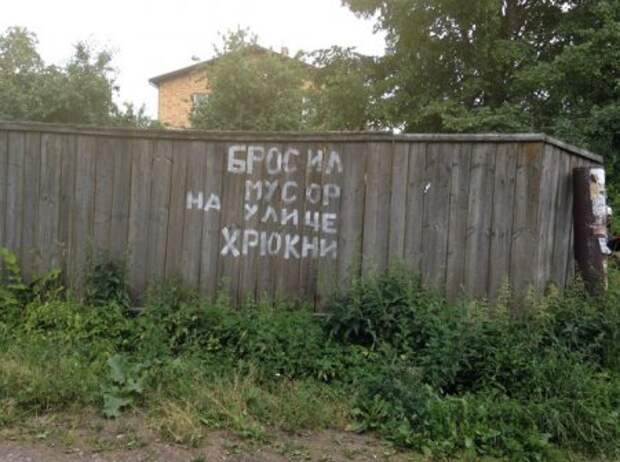 Фото приколы, что бы пятница удалась.