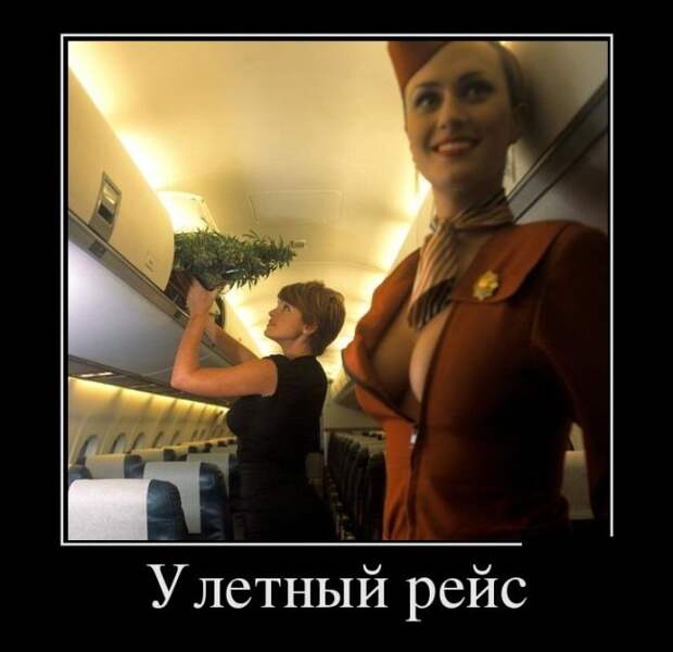 Демотиваторы (30 фото)