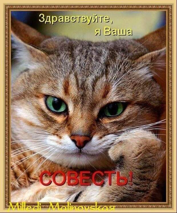 Давайте улыбаться вместе! :) (29улыбок)