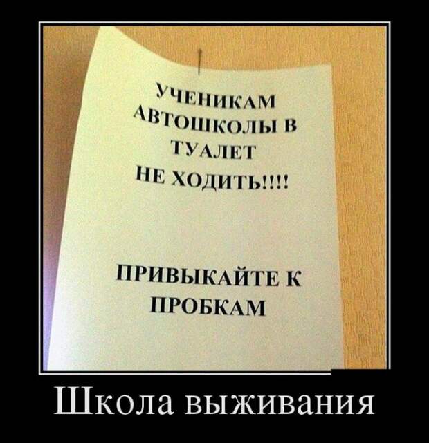 Демотиваторы (30 фото)