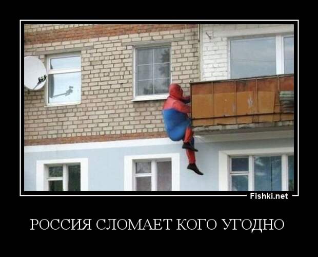 Демотиваторы демотиваторы, картинки, приколы