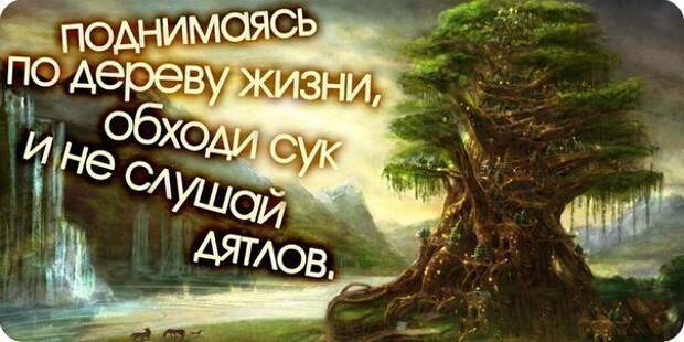 Приколюшки с картинками