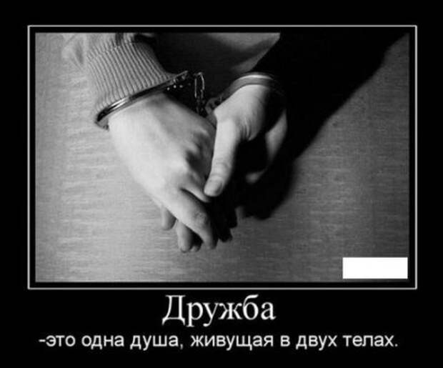 Демотиваторы о любви и про любовь.