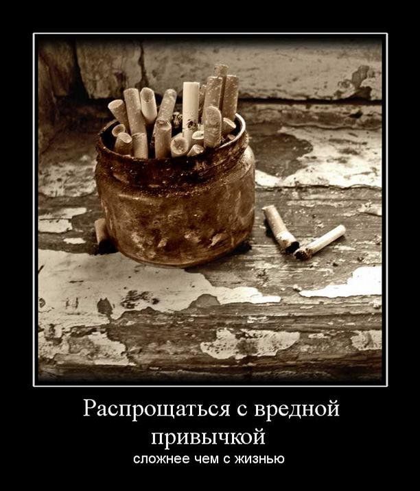 Демотиваторы (30 фото)