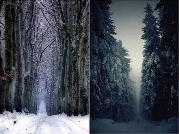 Великолепная Чехия