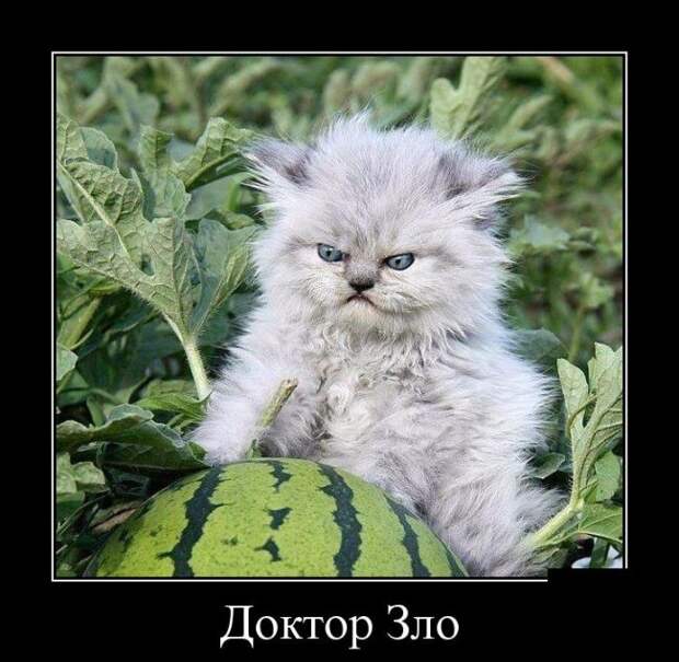 Доктор Зло демотиватор, юмор