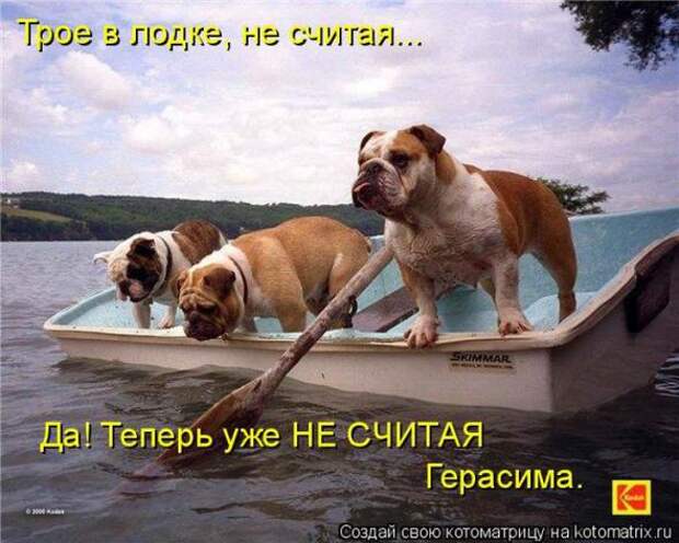 Котоматрицы (картинки с надписями)
