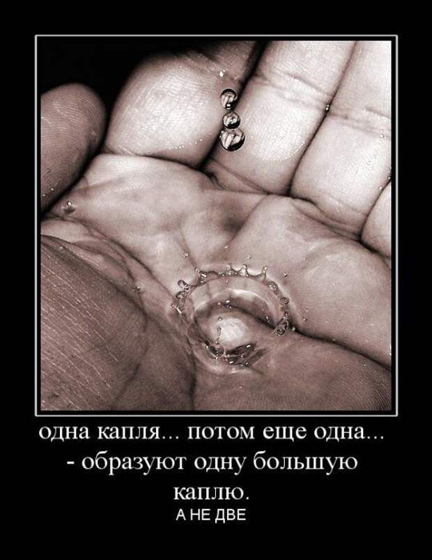 Демотиваторы (107 фото)