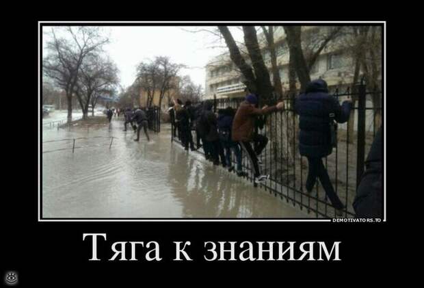 Будьте настойчивы! 12