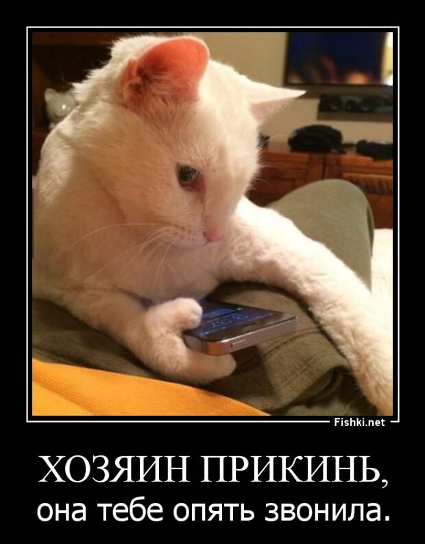 Демотиваторы демотиваторы