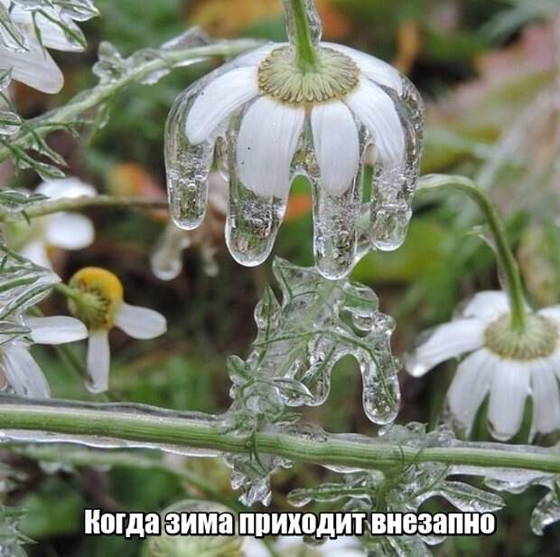 Неожиданные и необычные фото Неожиданные и необычные фото