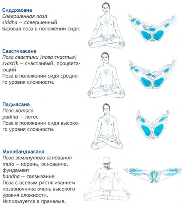 Медитативные асаны