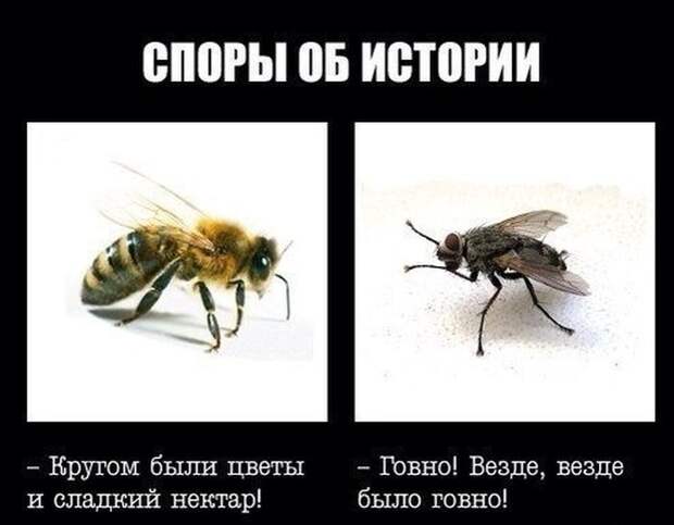 Картинки со смешными подписями картинки, прикол, юмор