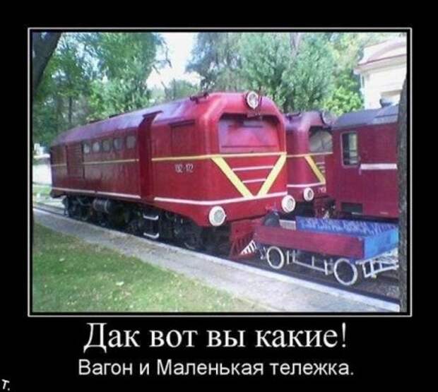 Фото демотиваторы.