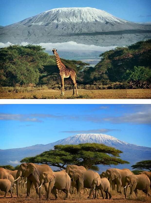 Самые красивые страны: Природа Кении (CC0)