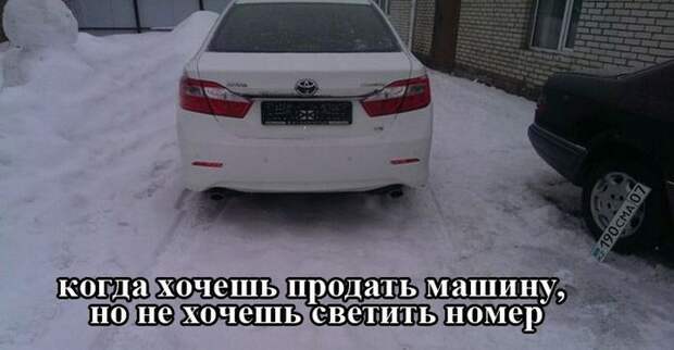 автоприколы
