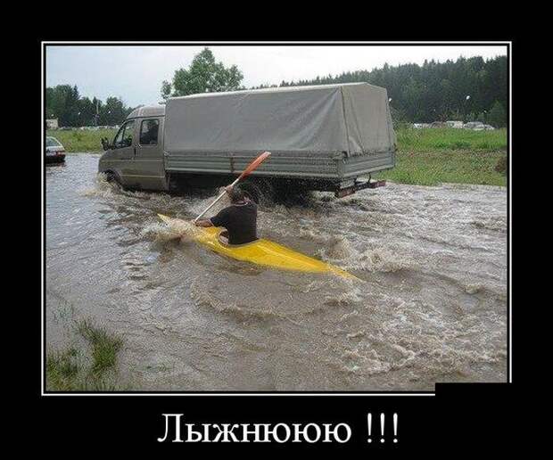 Демотиваторы бревно, демотиваторы, юмор
