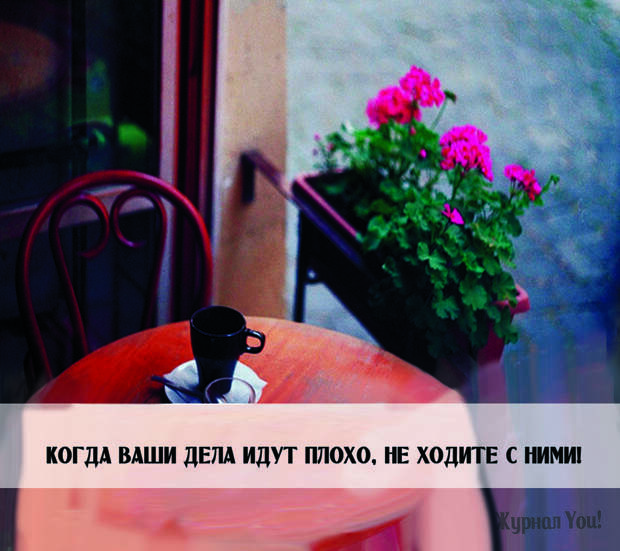 sovety6
