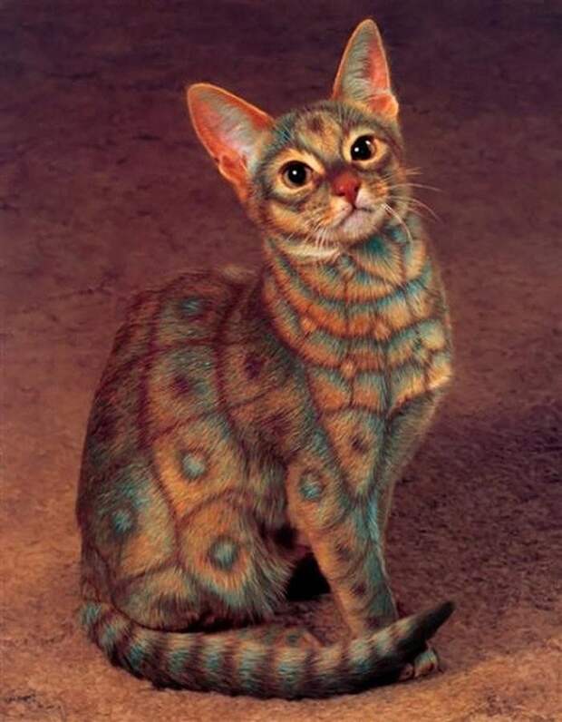 Кэтпейнтинг — это форма искусства или издевательство над животными? catpainting10 Кэтпейнтинг — это форма искусства или издевательство над животными?