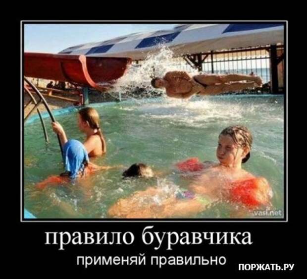 Демы (26 фото)