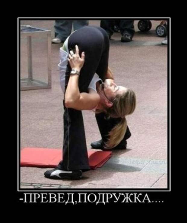 Картинки демотиваторы с приколом.