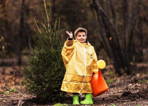 «Роснефть» высадила 46 млн деревьев за пять лет